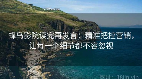蜂鸟影院读完再发言：精准把控营销，让每一个细节都不容忽视