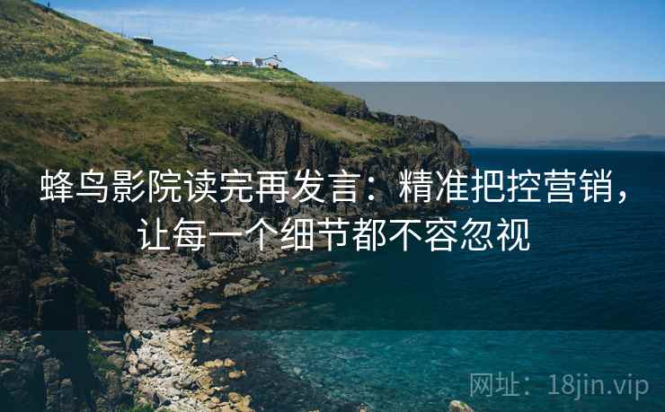 蜂鸟影院读完再发言：精准把控营销，让每一个细节都不容忽视