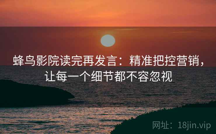 蜂鸟影院读完再发言：精准把控营销，让每一个细节都不容忽视